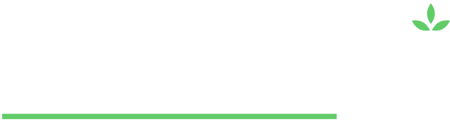 BloomAi Logo Clear lrg